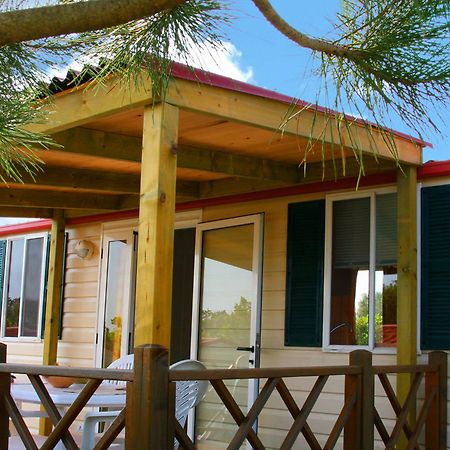 Отель Camp Dole Zivogosce Подгора Экстерьер фото